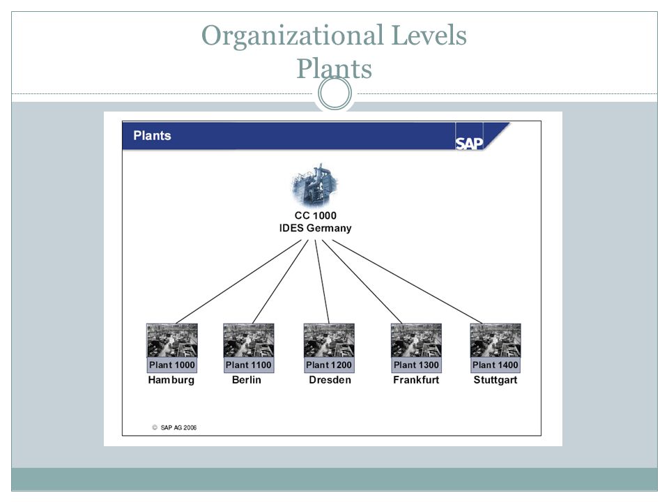 Organizational Levels Plants