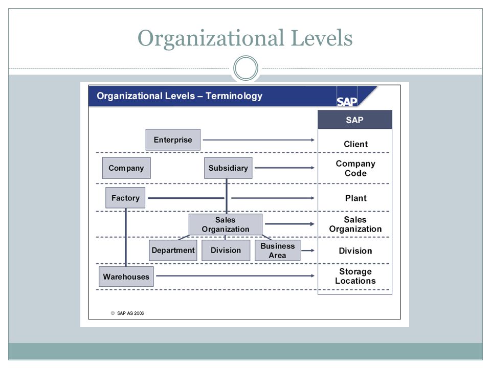 Organizational Levels