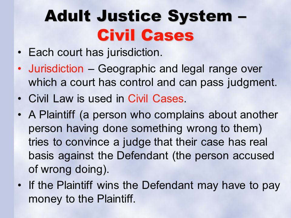 Adult Justice System – Civil Cases