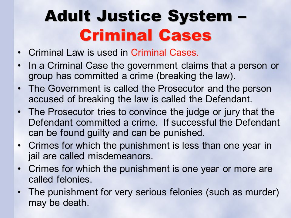 Adult Justice System – Criminal Cases