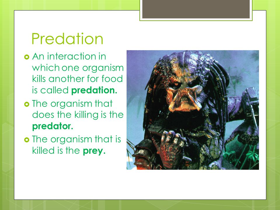 Predation An interaction in which one organism kills another for food is called predation. The organism that does the killing is the predator.