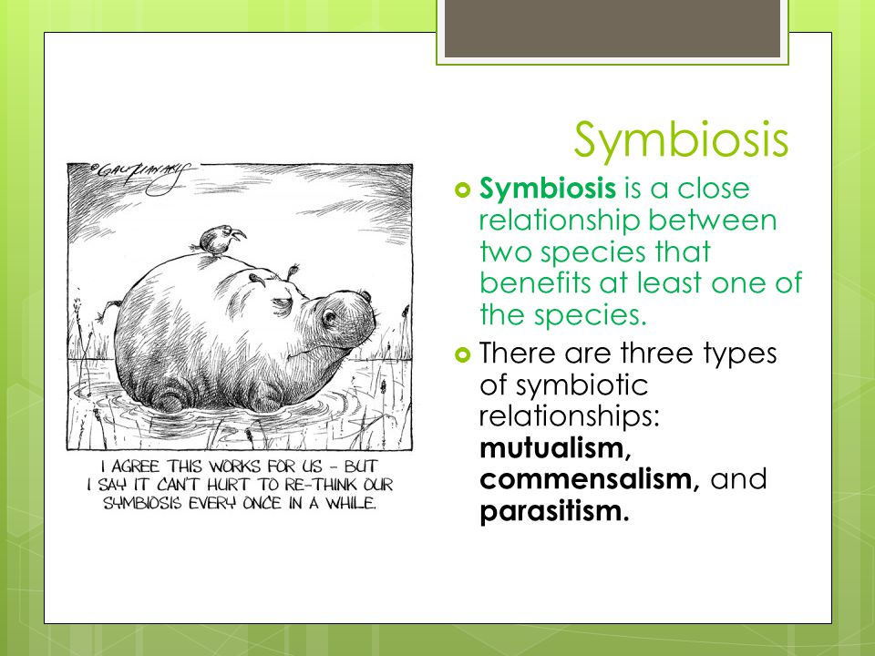 Symbiosis Symbiosis is a close relationship between two species that benefits at least one of the species.