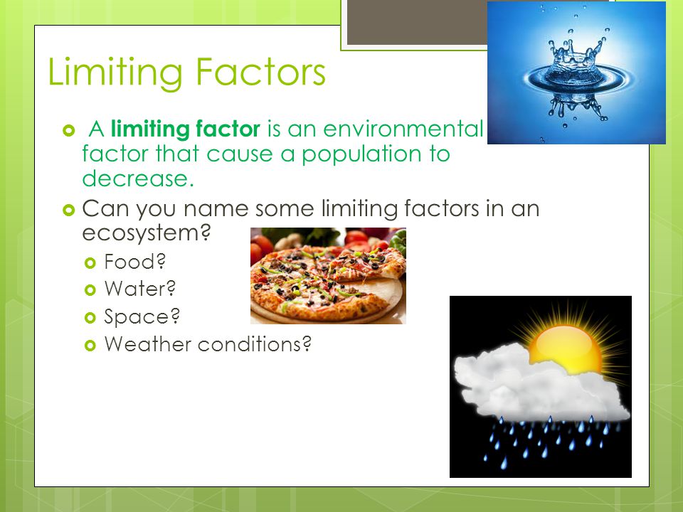 Limiting Factors A limiting factor is an environmental factor that cause a population to decrease.