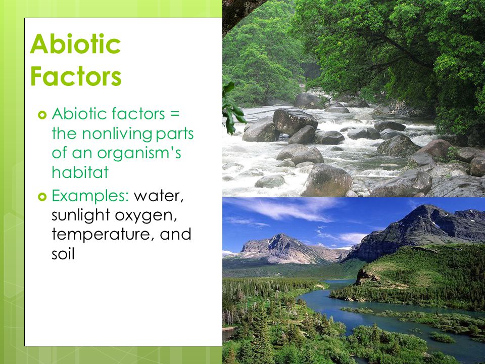 Abiotic Factors Abiotic factors = the nonliving parts of an organism’s habitat.