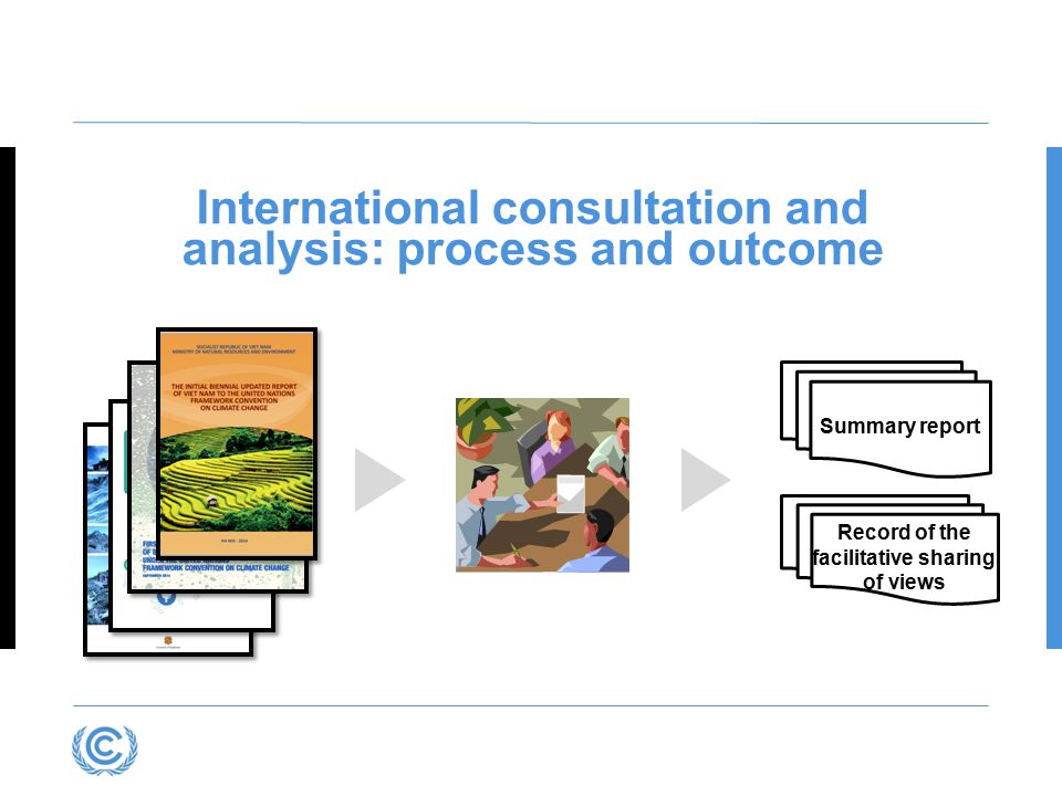 International consultation and analysis: process and outcome