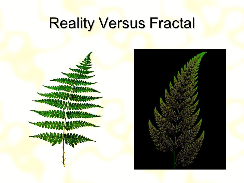 Reality Versus Fractal