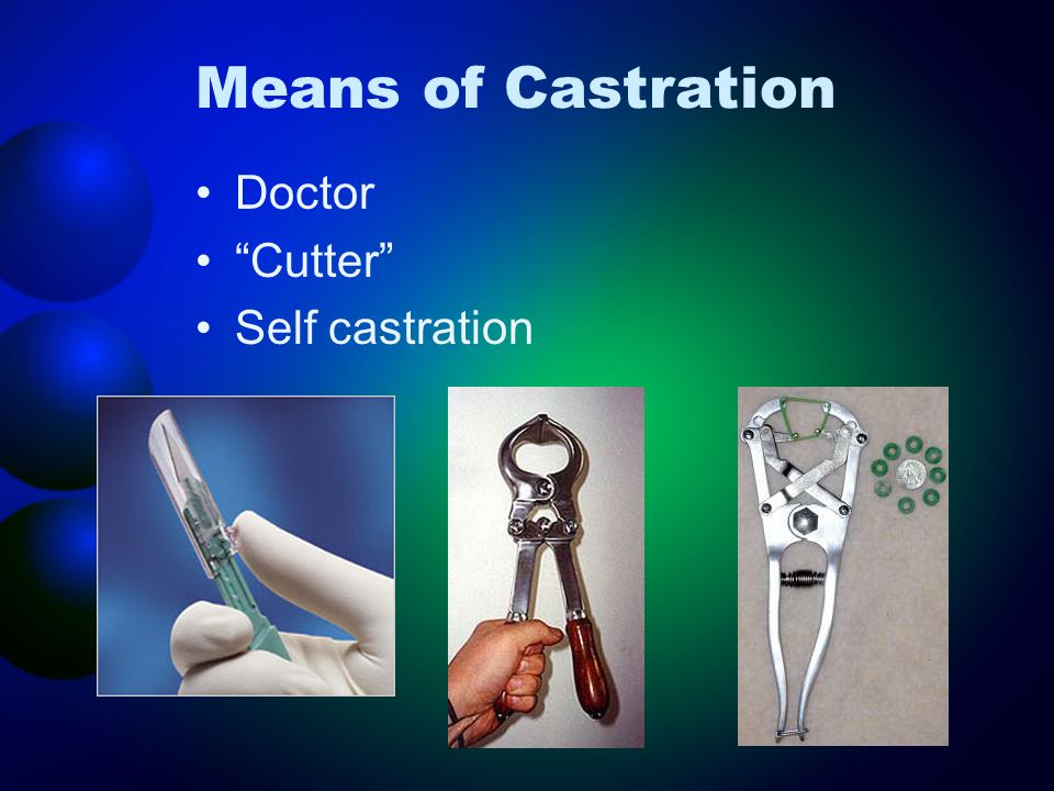 Self Castration Video