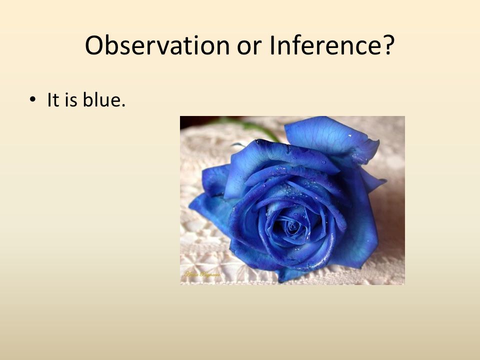 Observation or Inference