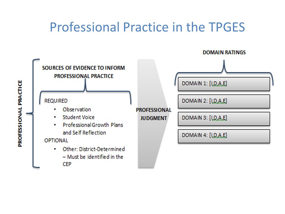 Professional Practice in the TPGES