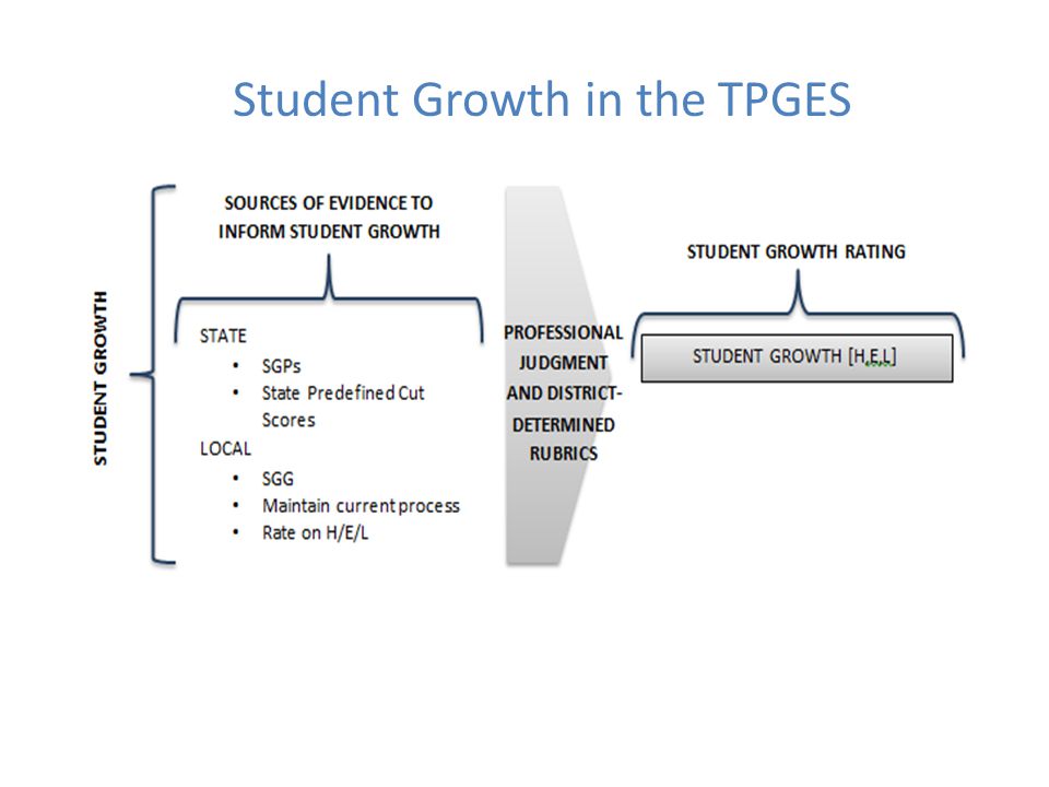 Student Growth in the TPGES