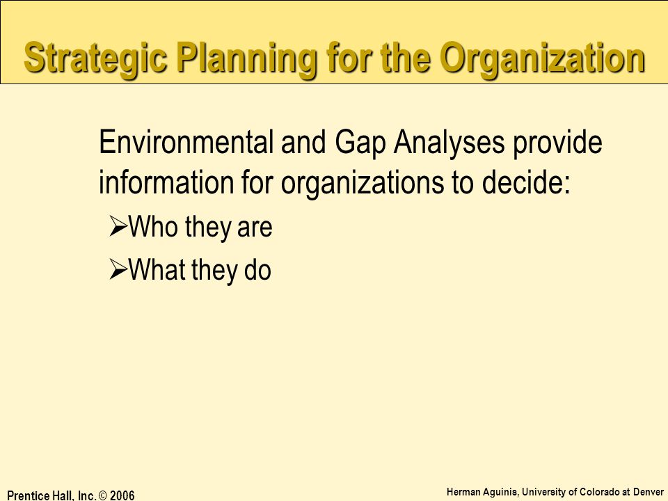 Strategic Planning for the Organization