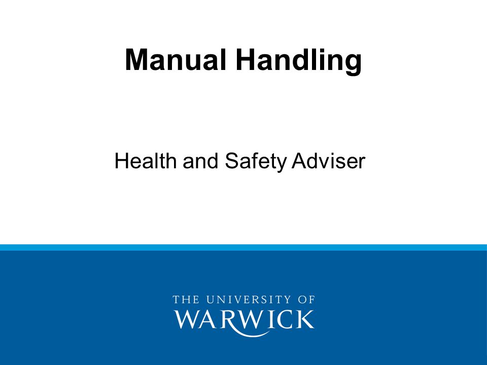 Health and Safety Adviser