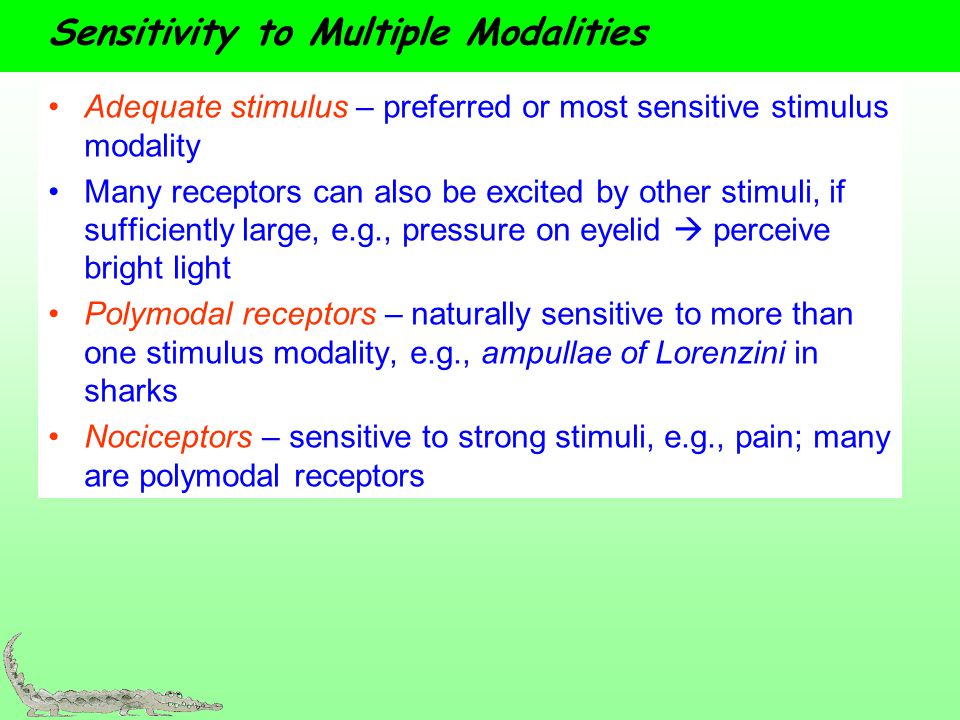 Sensitivity to Multiple Modalities