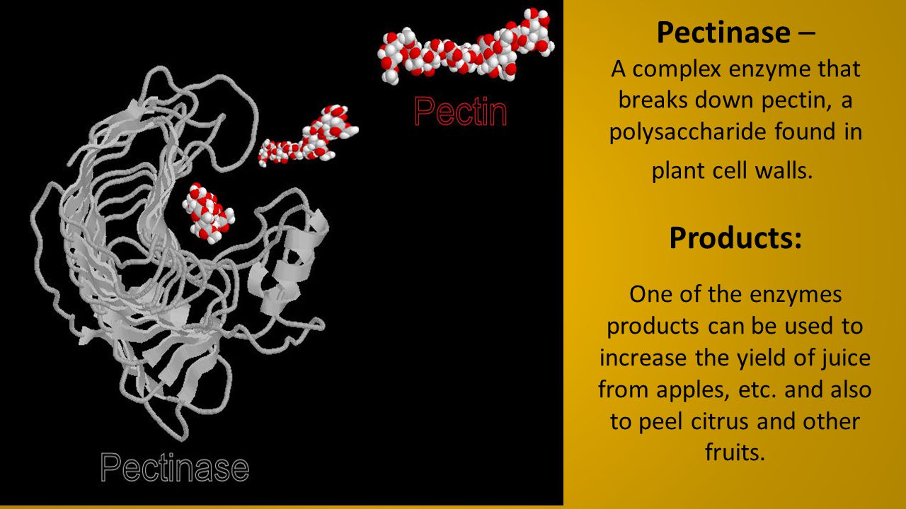 Pectinase An Enzyme By Jack Carroll Ppt Video Online Download,Best Canned Cat Food For Weight Loss