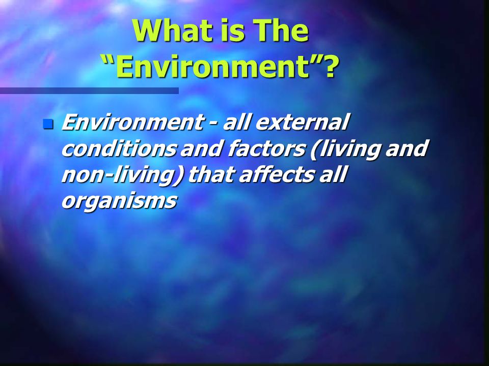 What is The Environment