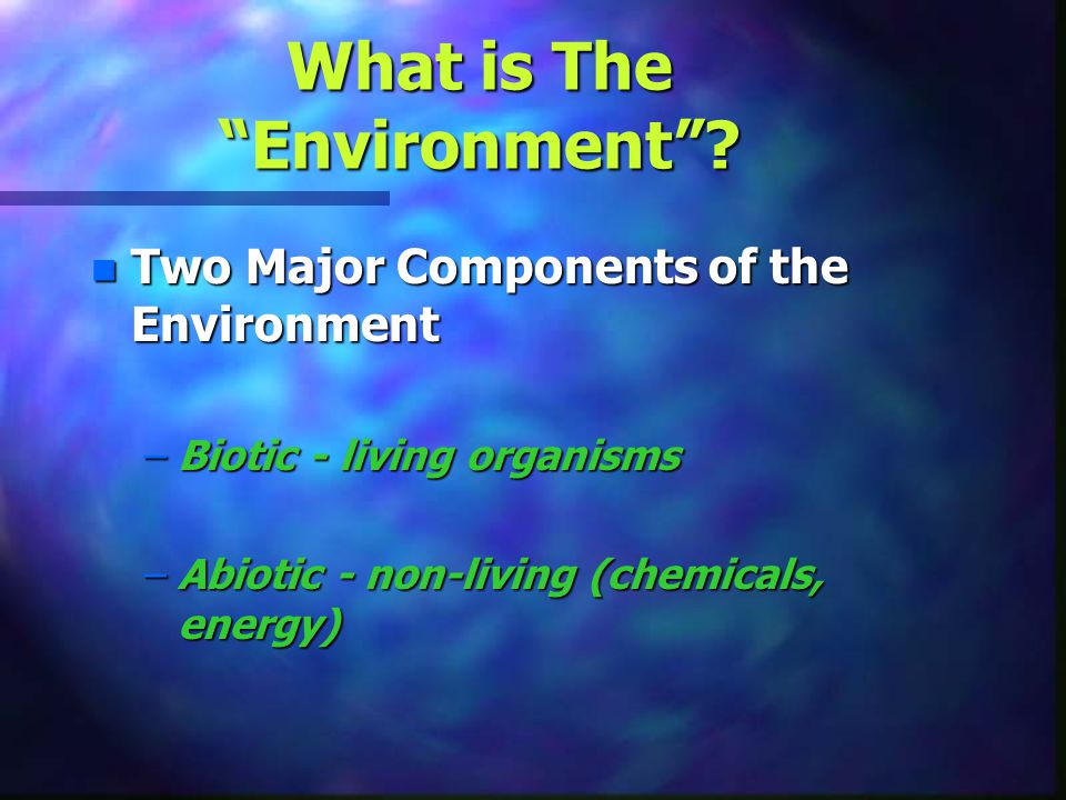 What is The Environment