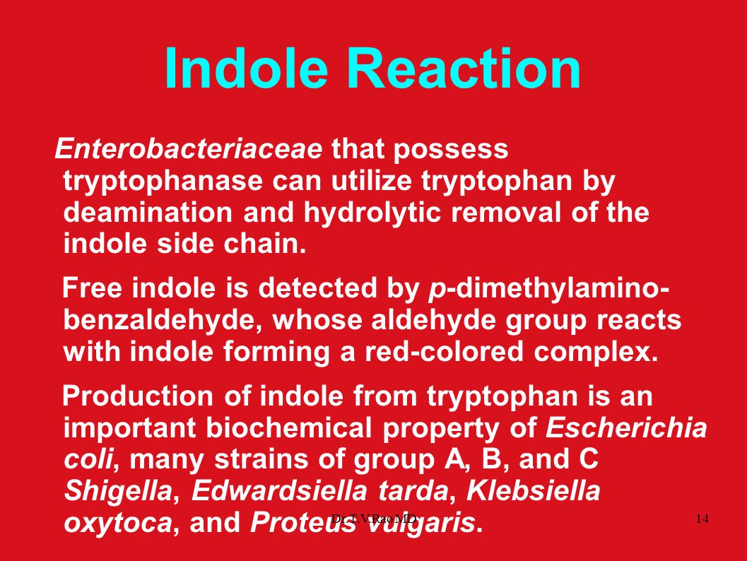 Differentiation Of Enterobacteriaceae By Biochemical Tests Chart