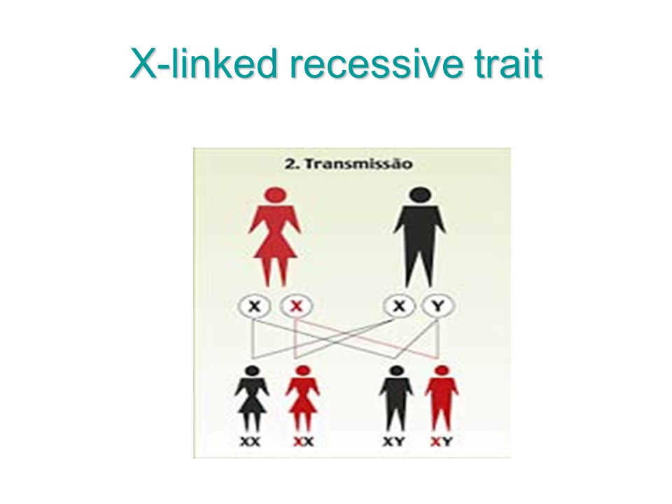 X-linked recessive trait