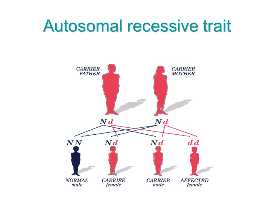Autosomal recessive trait