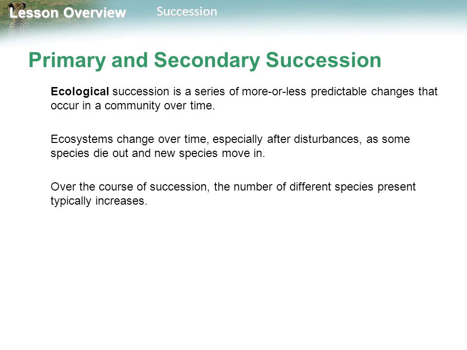 why are the changes during succession predictable