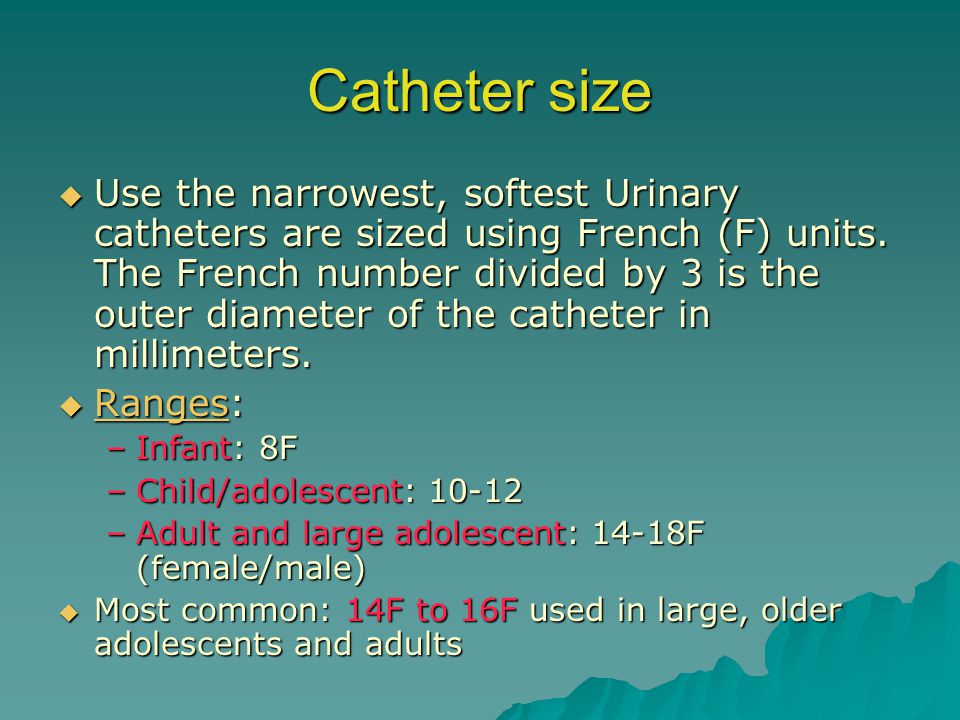 Urinary Catheterization - ppt video online download