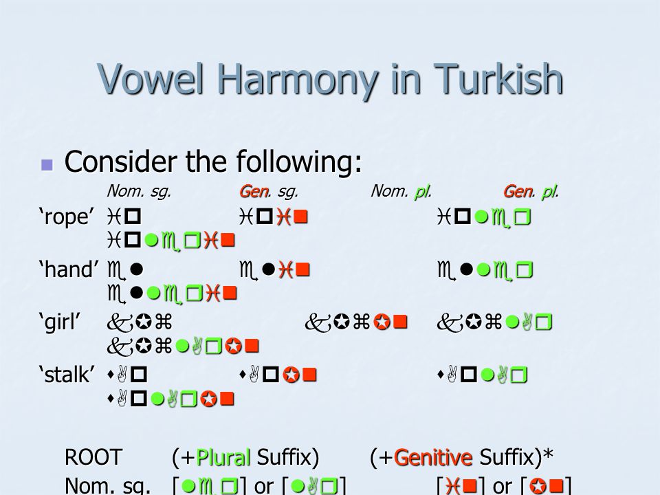 Turkish Vowel Harmony Chart