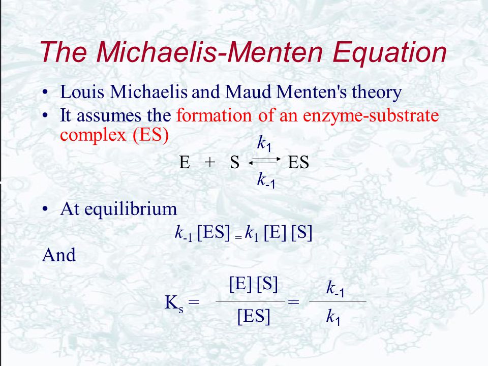 The Michaelis-Menten Equation