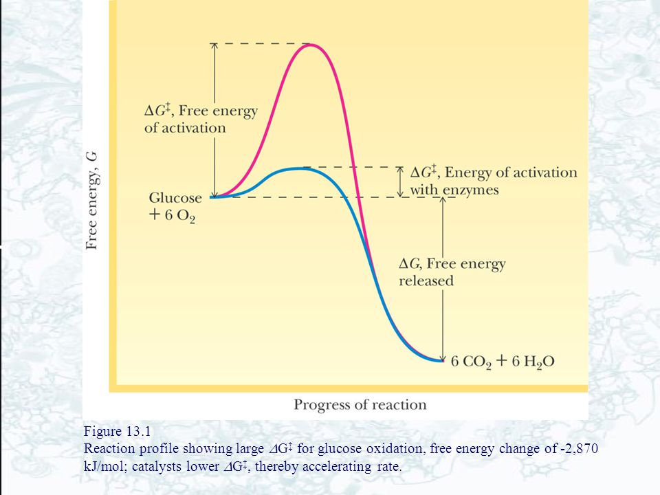 Figure 13.1 Reaction profile showing large DG‡ for glucose oxidation, free energy change of -2,870 kJ/mol; catalysts lower DG‡, thereby accelerating rate.