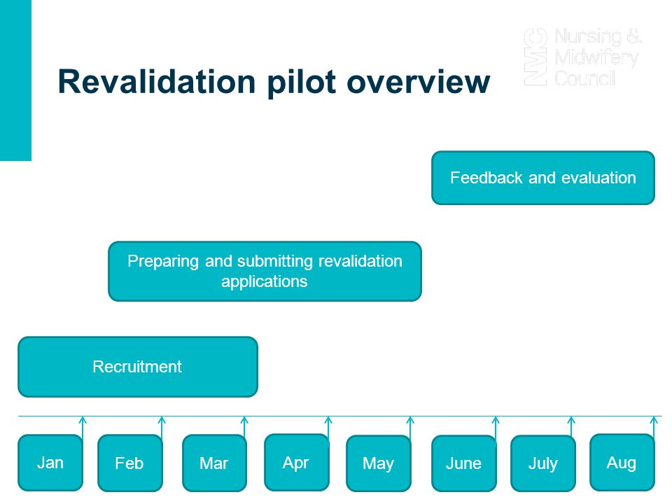 Revalidation pilot overview