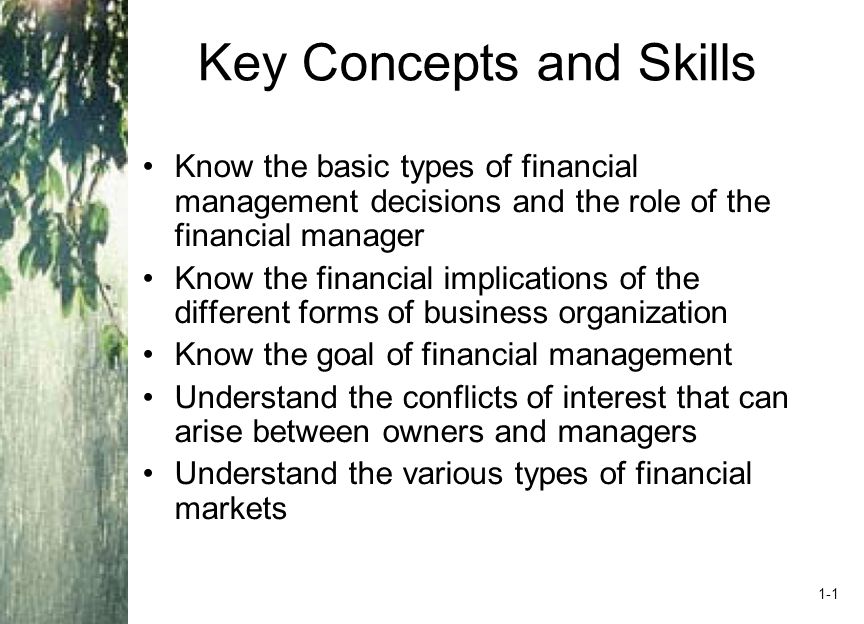 Chapter Outline Corporate Finance and the Financial Manager