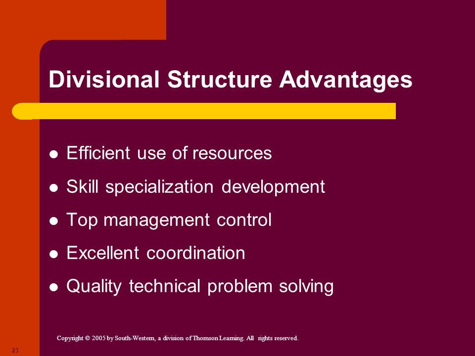Divisional Structure Advantages