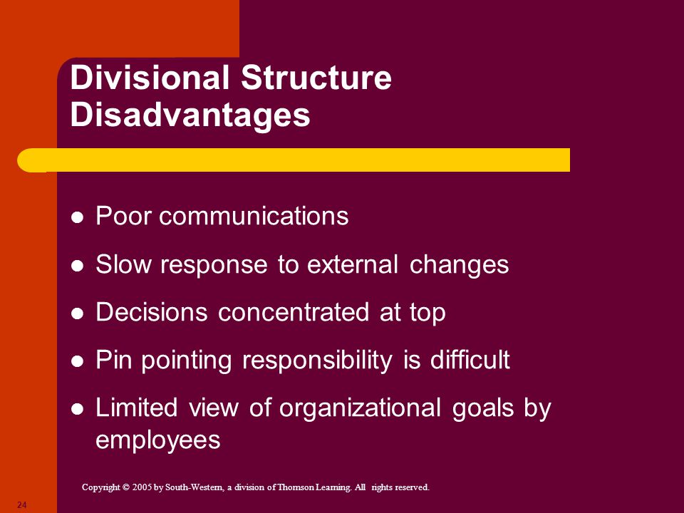Divisional Structure Disadvantages