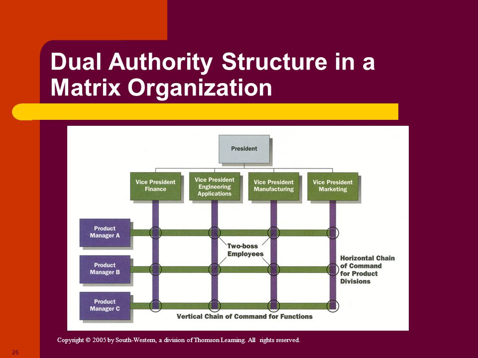 Dual Authority Structure in a Matrix Organization