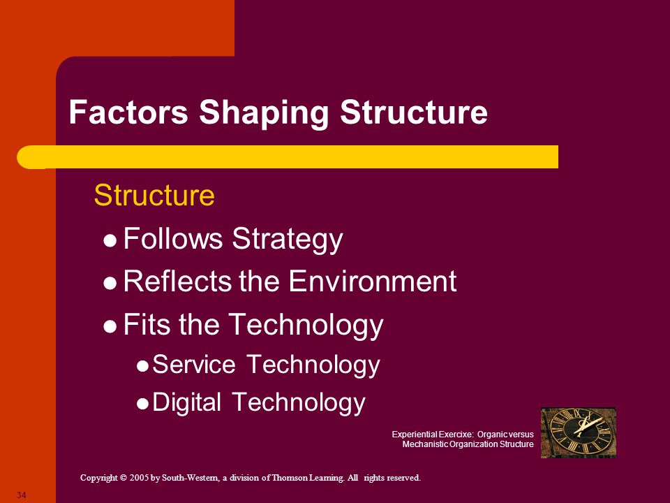 Factors Shaping Structure