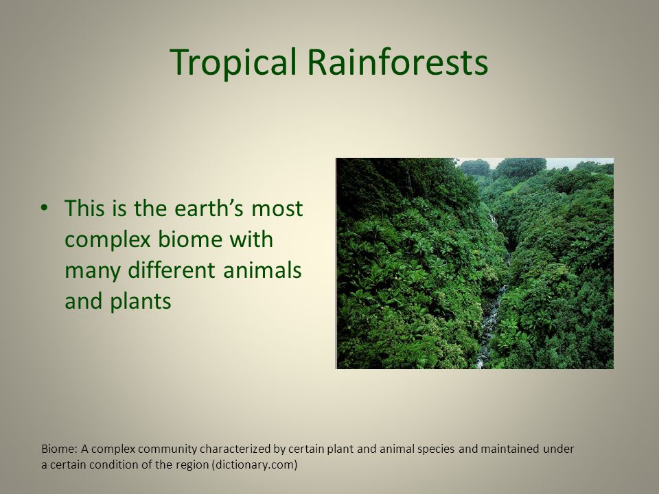 Climate Location Rainfall Ppt Video Online Download