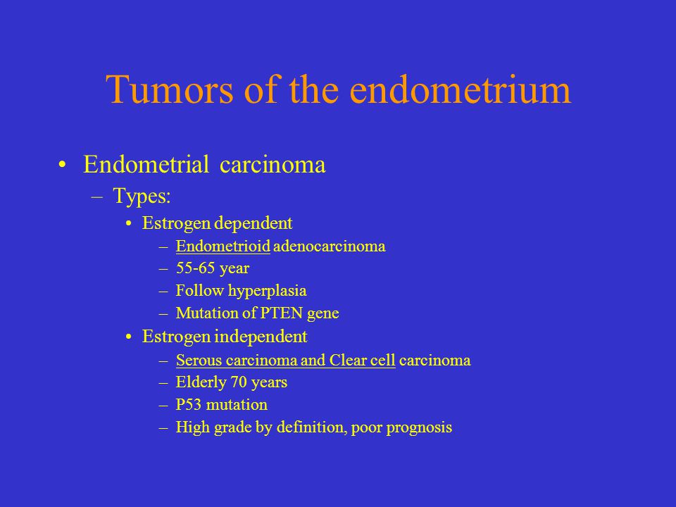 endometrium rák 1b stádium