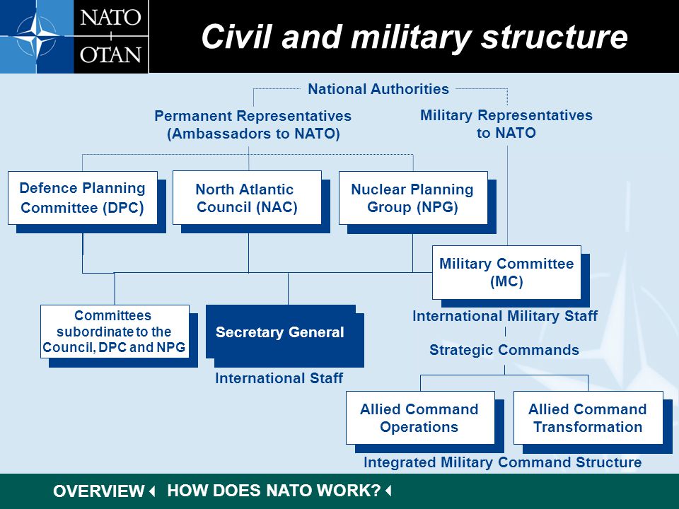 Nato Structure Chart