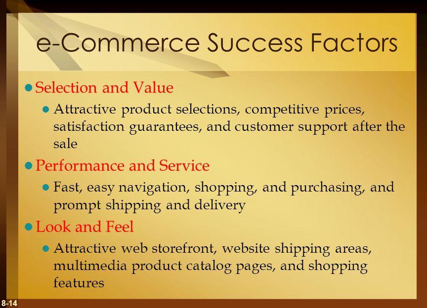 e-Commerce Success Factors