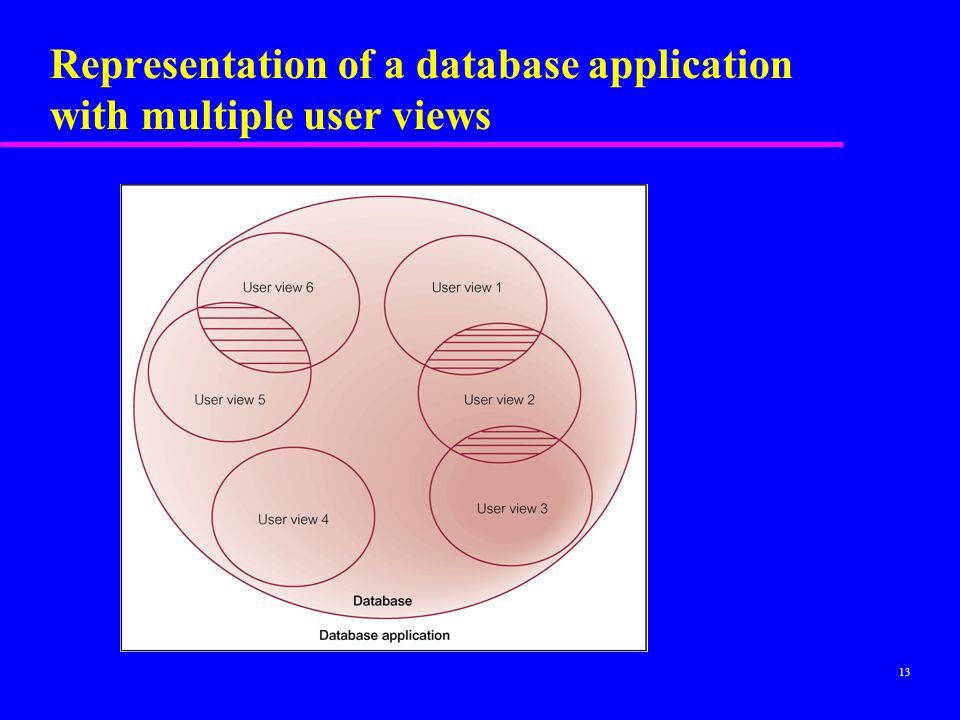 Representation of a database application with multiple user views
