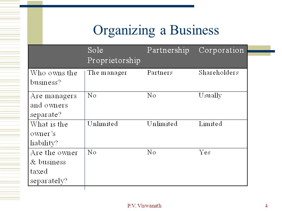 Organizing a Business P.V. Viswanath