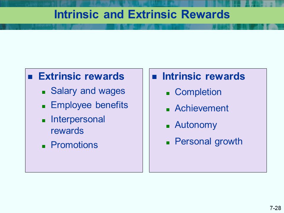 intrinsic and extrinsic rewards