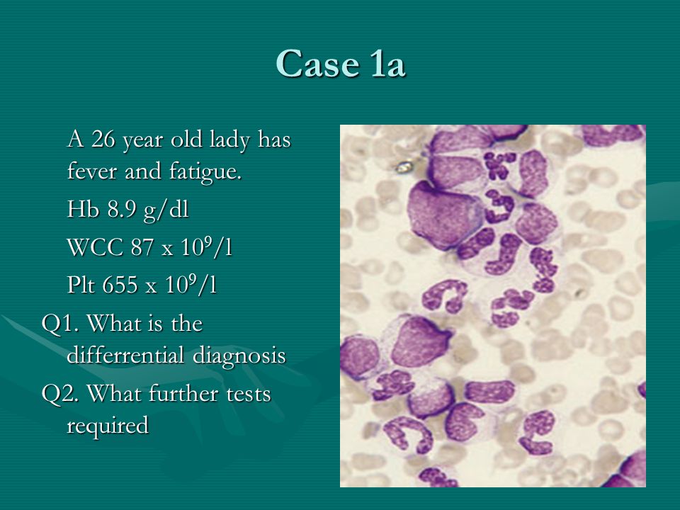 Case 1a A 26 year old lady has fever and fatigue. Hb 8.9 g/dl