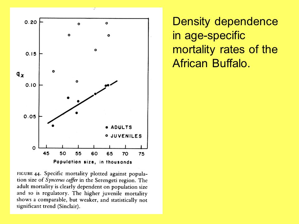 Density dependence in age-specific mortality rates of the African Buffalo.
