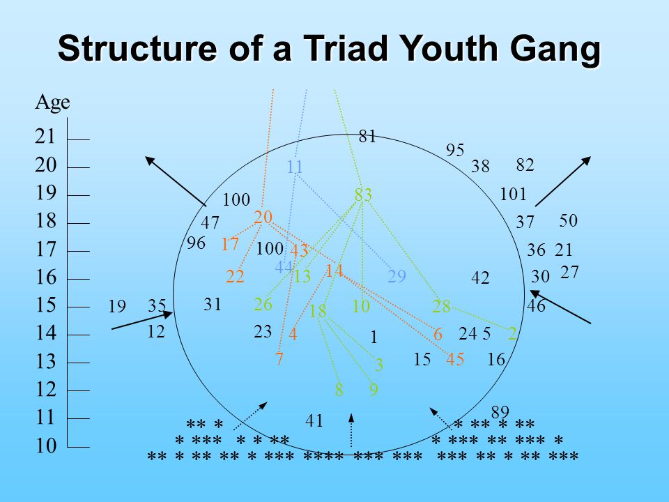 Structure of a Triad Youth Gang