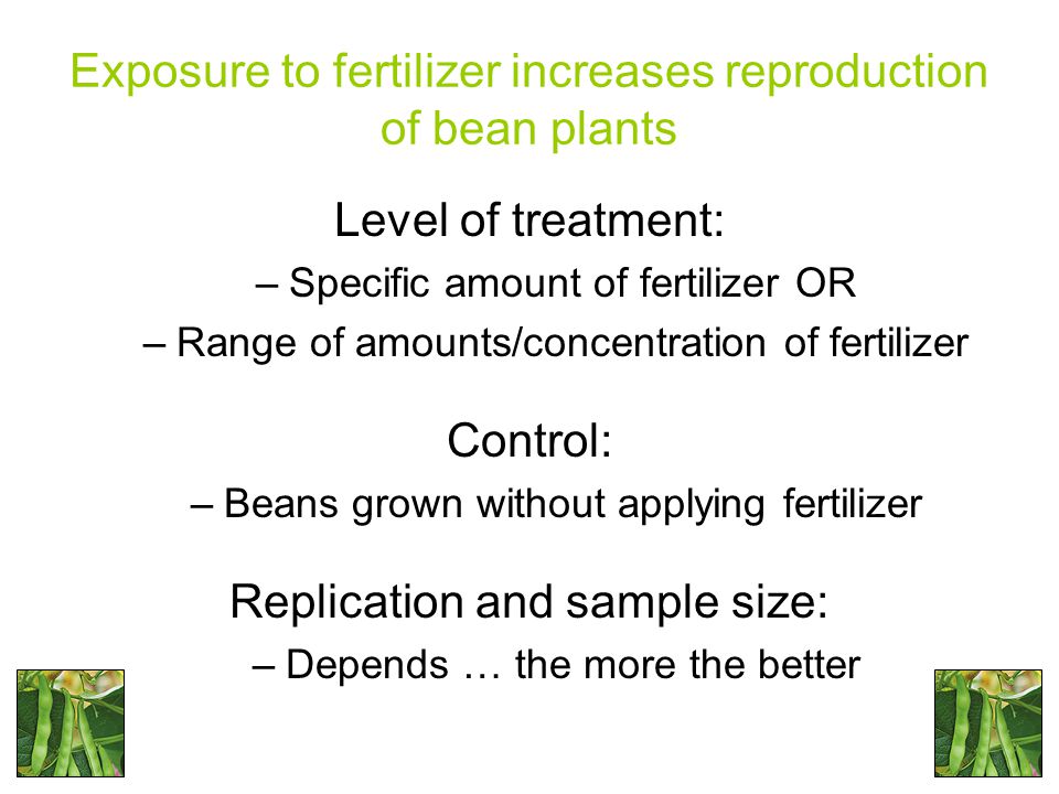 Exposure to fertilizer increases reproduction of bean plants