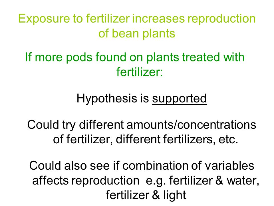 Exposure to fertilizer increases reproduction of bean plants