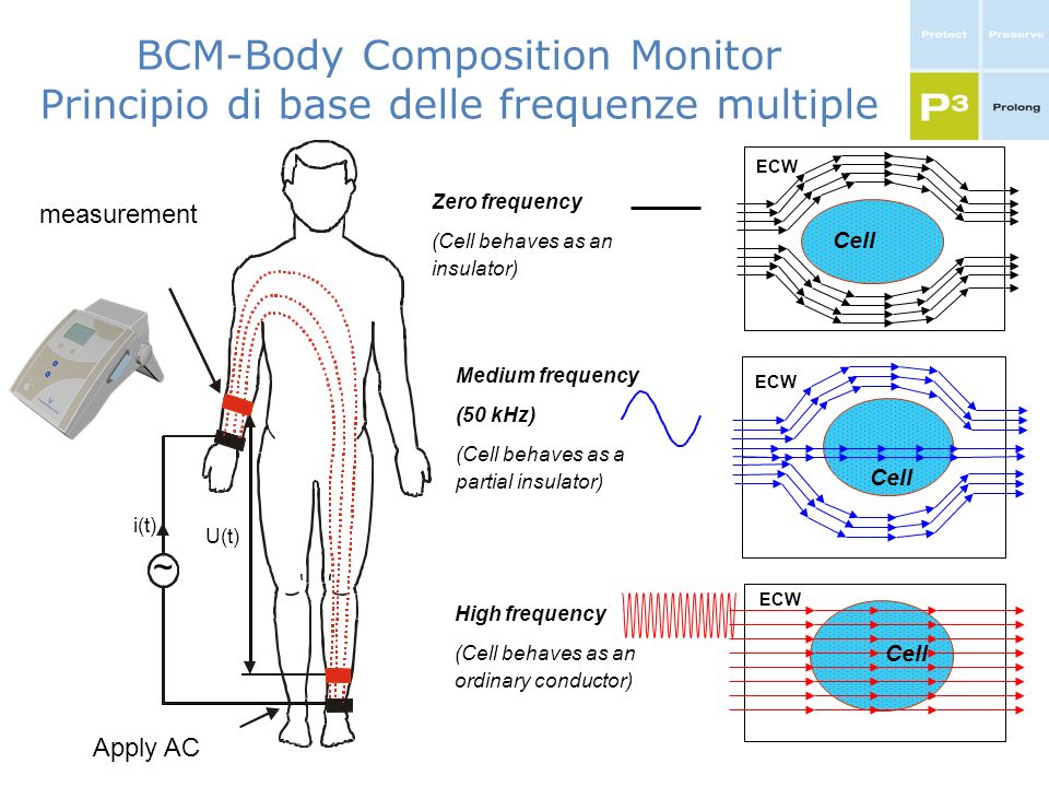 https://slideplayer.com/slide/536483/1/images/7/BCM-Body+Composition+Monitor+Principio+di+base+delle+frequenze+multiple.jpg