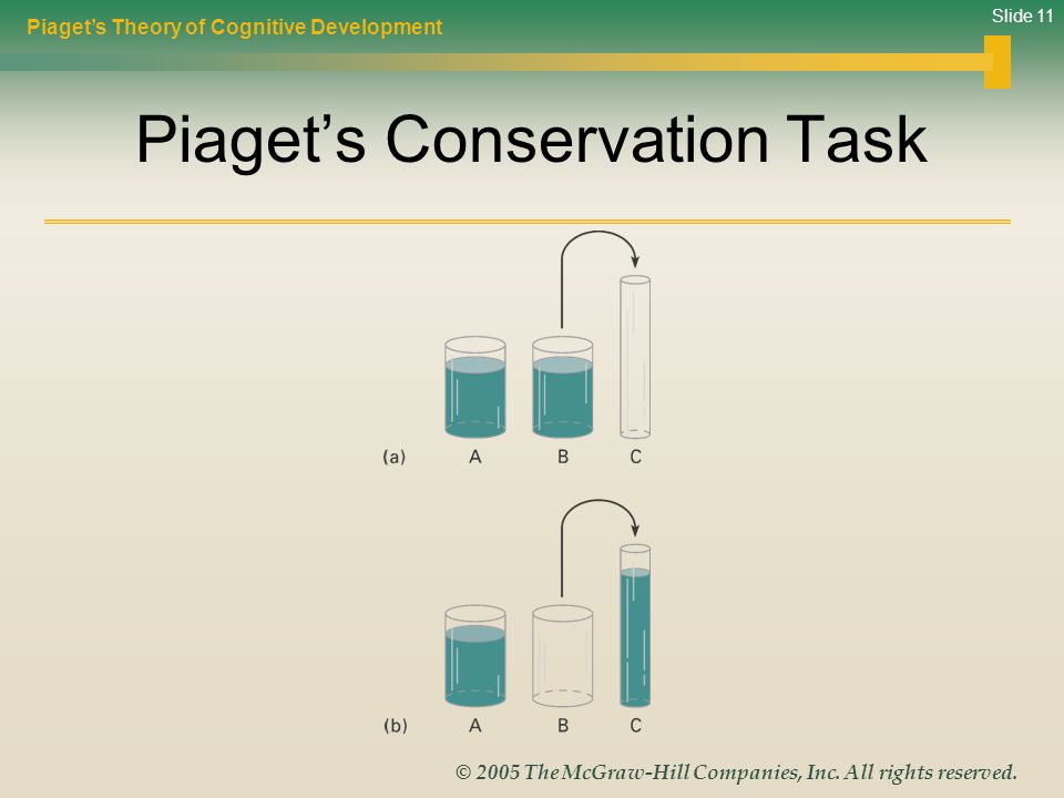 Piaget’s Conservation Task