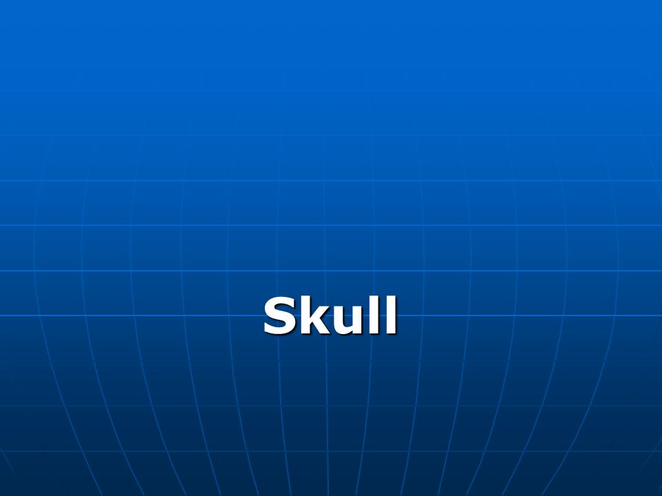 Lecture Skull