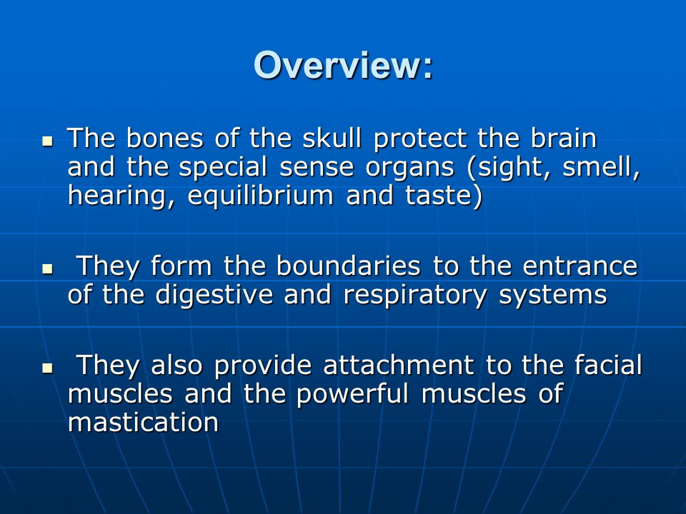 Overview: The bones of the skull protect the brain and the special sense organs (sight, smell, hearing, equilibrium and taste)